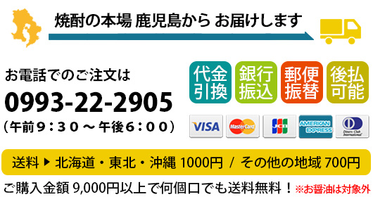 Raffia Bag Mccartney かごバッグ Stella 送料 関税無料 通販 バッグ カバン W8681 9740 送料 関税無料 Shopping 送料0円 の