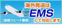�C�O������EMS�ɂđΉ��v���܂�